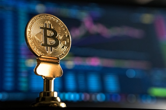 Decoding Blockchain’s Role in the Digital Asset Ecosystem